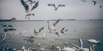 医疗健康